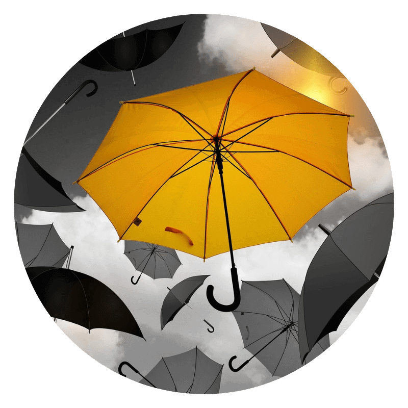 Why are we different 1.2 We are different - not all financial advisors are the same